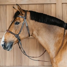 Dyon bitloos hoofdstel